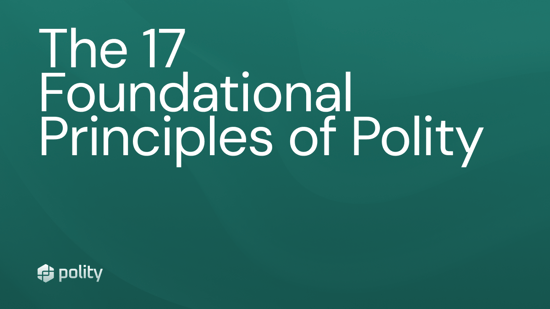 The 17 Foundational Principles of Polity