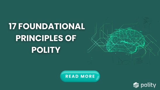 The 17 Foundational Principles of Polity