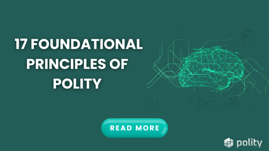 The 17 Foundational Principles of Polity