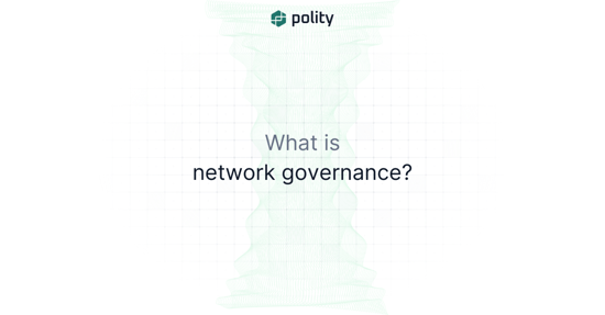 What is network governance?